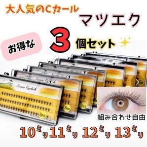 マツエク セルフ Cカール 10束 つけまつ毛 エクステ つけま 3 3個 3こ