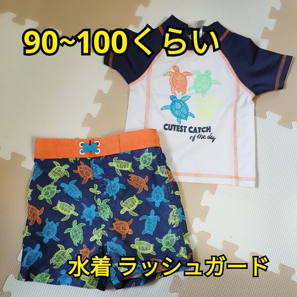 ラッシュガード 水着 男の子 ホヌ 半袖 海 セパレート 子供 スイムウェア