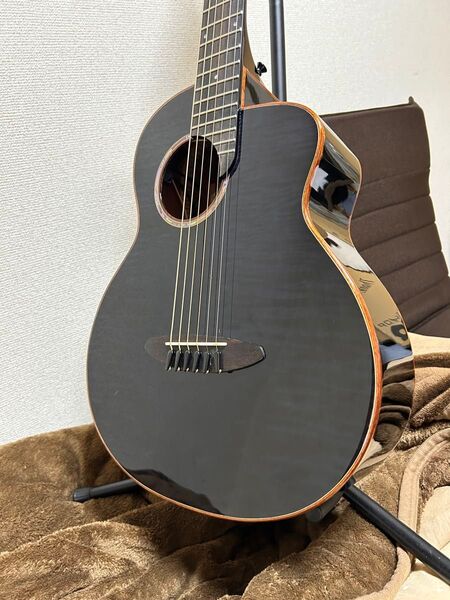 aNueNue M77E アコースティックギター ピックアップ付き アヌエヌエ aNN-M77E パワーピン取付