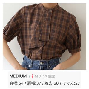 N. エヌナチュラルビューティーベーシック ボウタイ風 パフ袖 チェック ブラウス ブラウン