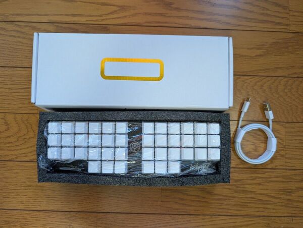 Polyglot StenoKeyboards 速記用キーボード ステノグラフ stenograph
