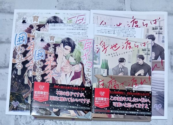 浮世渡らば豆腐で渡れ! あなたと小さなアップデート &耳ボロエルフは育てた弟子に囲われる2冊セット◇ 海野幸 BL コミコミ特典付