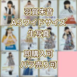 【即購入可】羽賀朱音 日替わり写真【バラ売り可】
