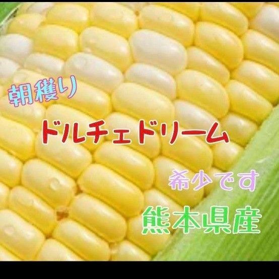 限定価格 とうもろこし(ドルチェドリーム) 4kg 熊本県産