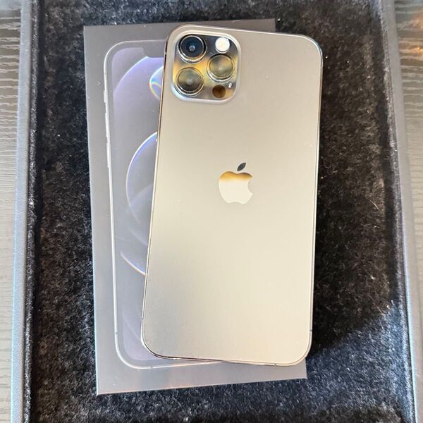 【値下げ交渉〇】Apple iPhone12Pro 256GB SIMフリー