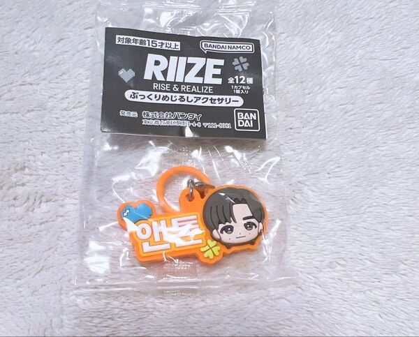 RIIZE ぷっくりめじるしアクセサリー ガチャガチャ アントン