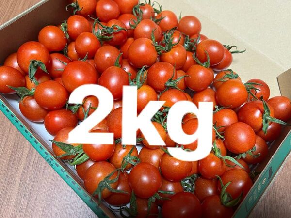 ミニトマト2kg