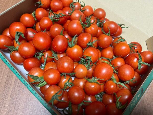ミニトマト1kg