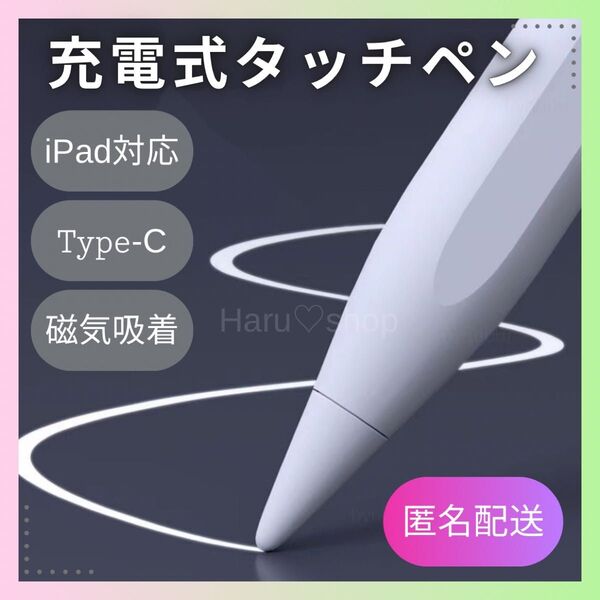 iPad対応 充電式タッチペン スタイラスペン 互換品 type-C 手書き対応