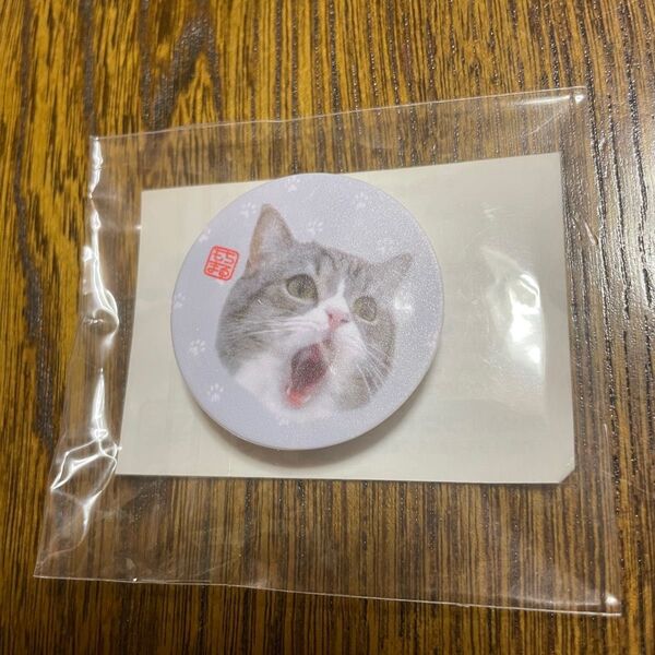 もちまる日記 スマホクリップ スマホグリップ スマホリング 動物 猫 ねこ ネコ YouTuber ユーチューブ ユーチューバー