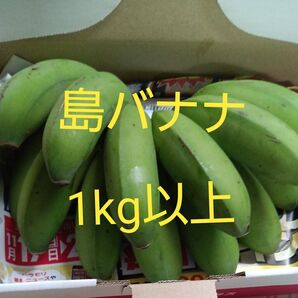 島バナナ 無農薬