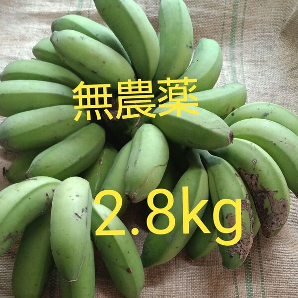 島バナナ おまけ付き?
