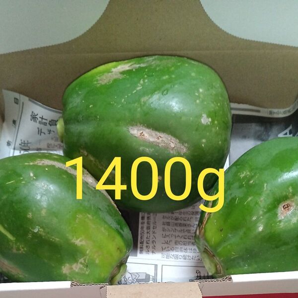 青パパイア 無農薬