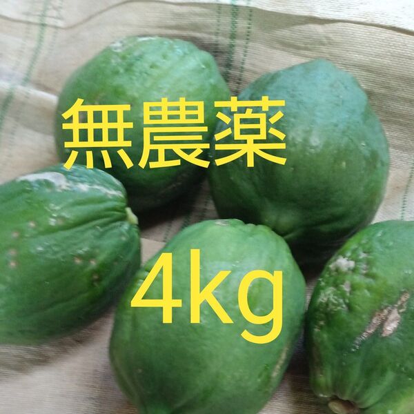 青パパイア 自然栽培