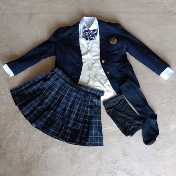 LLサイズ 本物高校女子ミニスカート制服