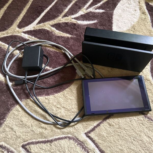 Nintendo Switch 初期化済 本体のみ アダプター等付 初期版