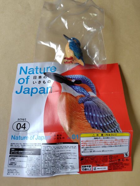 日本のいきもの vol.1 カワセミ