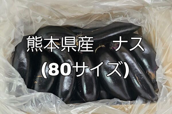 熊本県産 ナス なす 80サイズ