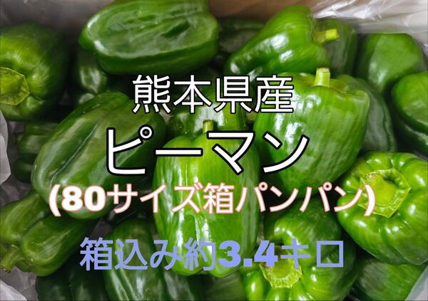 熊本県産 ピーマン 80サイズ