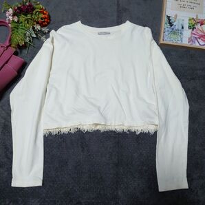 ZARA TRAFALUC カットソー(S)アイボリー フリンジ 綿100% クロップドシャツ