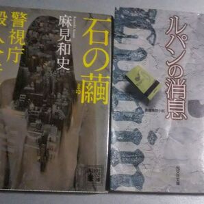 ミステリ-2冊 石の繭 警視庁殺人分析班 麻見和史/ルパンの消息 横山秀夫