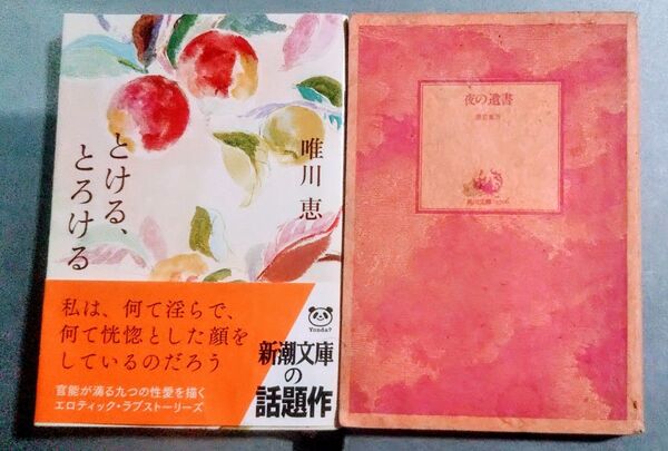 小説2冊 唯川恵「とける、とろける」/ 黒岩重吾「夜の遺書」