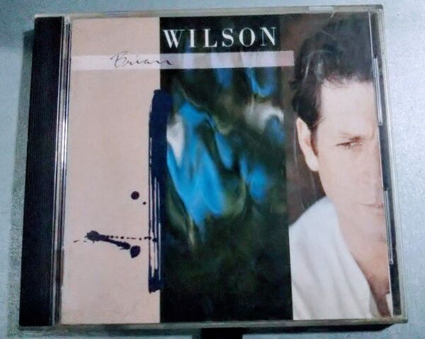 Brian Wilson ソロアルバム 1988年 国内盤CD