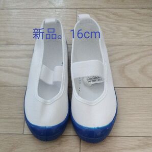 上履き スクールシューズ バレーシューズ16cm