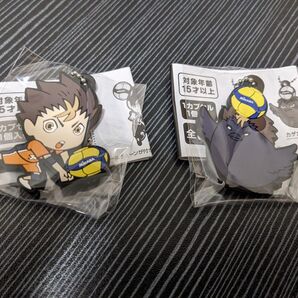 アニメ ハイキュー!! × MIKASA 烏野高校 西谷夕 ノヤガラス キャララバーコレクション ガチャ カプセル 古舘春一