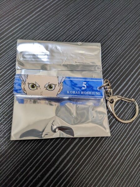 アニメ ハイキュー!! 鴎台高校 星海光来 花江夏樹 トレーディング目ヂカラアクリルキーホルダーコレクション第3弾 古舘春一
