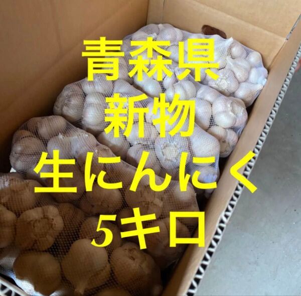 青森県生にんにく5Kg L