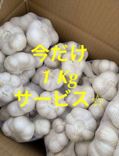 青森県にんにく6キロ L