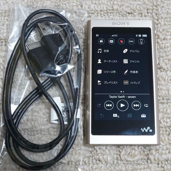 SONY ウォークマン Aシリーズ NW-A55 N (ペールゴールド) ※美品 (#1)