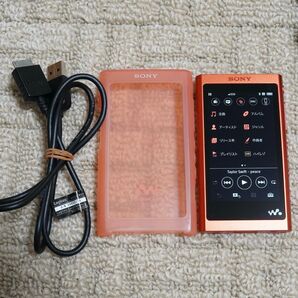 SONY ウォークマン Aシリーズ NW-A55 R (トワイライトレッド) ※美品 ※ケース付属 (#3)