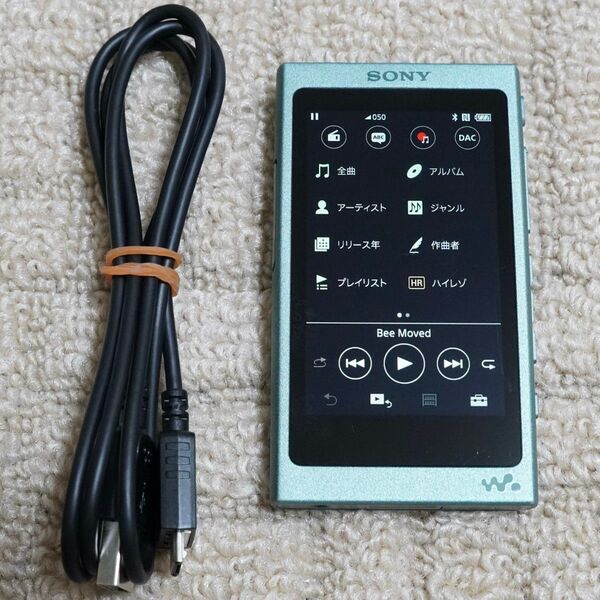 SONY ウォークマン NW-A45 G (ホライズングリーン) (#3)