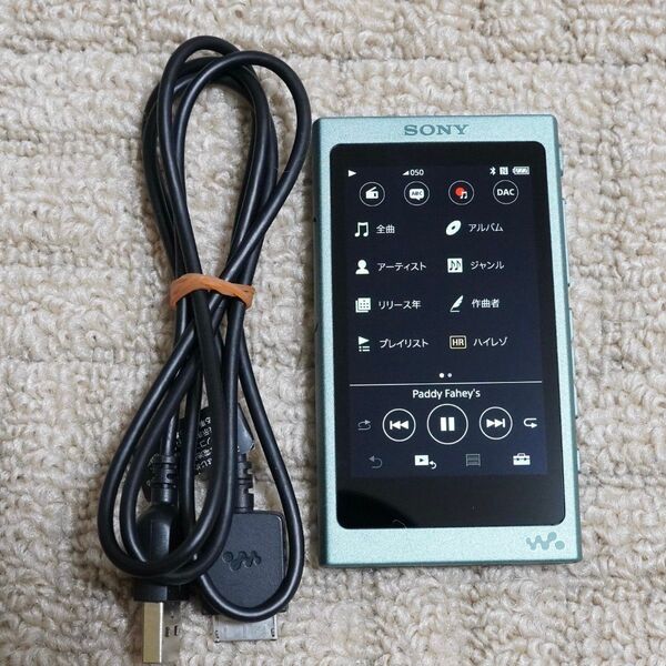 SONY ウォークマン NW-A45 G (ホライズングリーン)※美品 (#4)