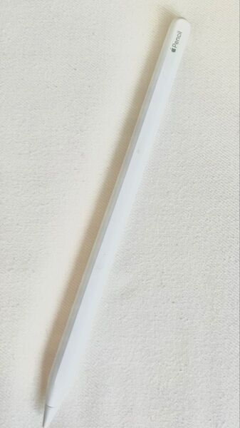 新品購入 正規品 純正 Apple Pencil アップルペンシル