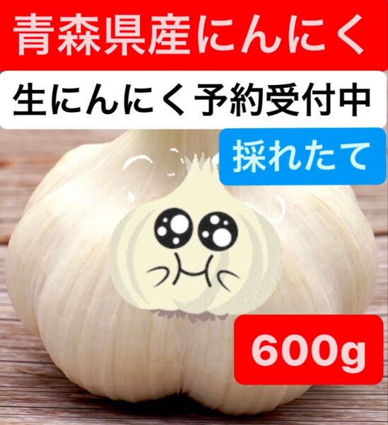 青森県産生にんにく 福地ホワイト600g
