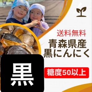 青森県産黒にんにく 訳あり 500g