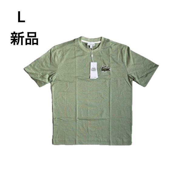 新品 LACOSTE オーバーサイズ TH0062 Green
