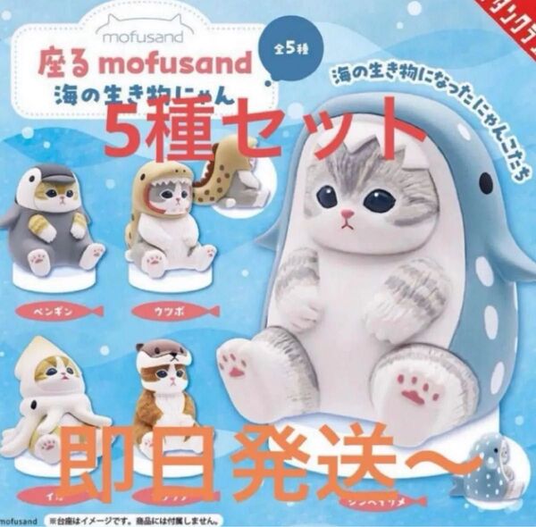 mofusand モフサンド 海の生き物にゃん フィギュア ガチャガチャ 5個 コンプ セット