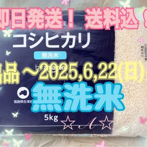 ★~6/22(日)迄、出品★ 【即日発送・送料込】 令和6年産 銘柄米 会津産コシヒカリ 無洗米 5kg 5キロ 国産米 精米