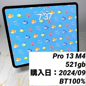 13インチiPad Pro M4 512GB セルラー BT100%