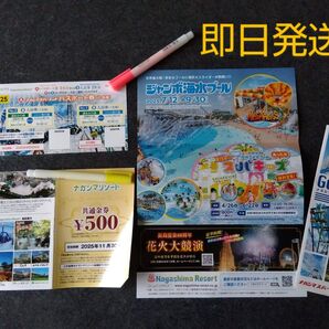 ナガシマスパーランド パスポートor湯あみの島2名+500円券