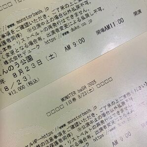 MONSTER baSH 2025 8/23 1日券 チケット 2枚 モンスターバッシュ モンバス