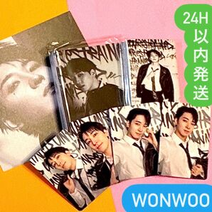 SEVENTEEN HAPPY BURTHDAY DAREDEVIL盤 ウォヌ コンプ 24種 トレカ バインダー セット DD盤
