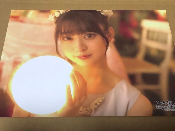乃木坂46 阪口珠美 乃木フェス ミニポスター