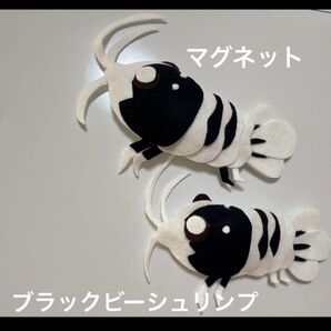 ブラックビーシュリンプ☆マグネット