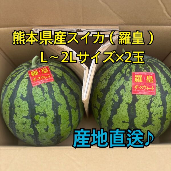 産地直送 熊本県産 スイカ×2玉(羅皇ザ スウィート) 秀品 L~2Lサイズ(5.8~7キロ)