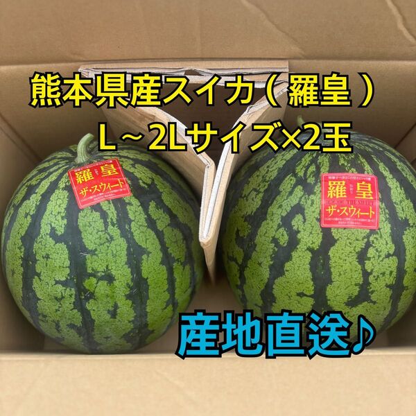 産地直送 熊本県産 スイカ×2玉(羅皇ザ スウィート) 秀品 L~2Lサイズ(6~7キロ)